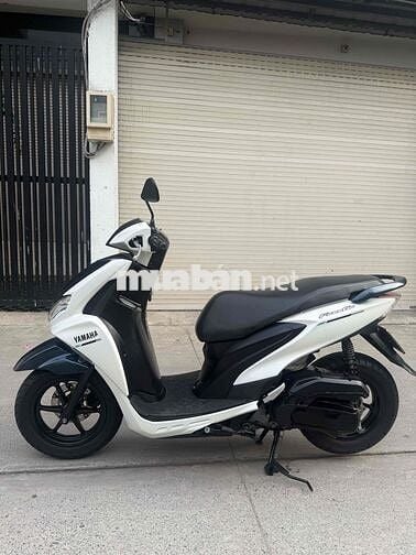 Freego 2019 cavet theo xe giấy tờ đầy đủ bao đẹp