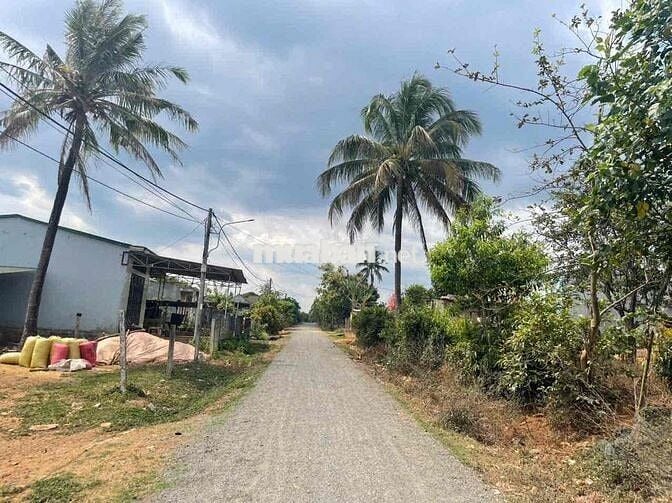 Đất hẻm Nguyễn Văn Nghi, sau lưng trường học