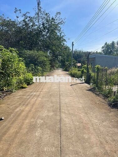 BỂ NỢ bán gấp căn nhà ngay TRƯỜNG HỌC DT 710m2 Chỉ 650tr Công Chứng