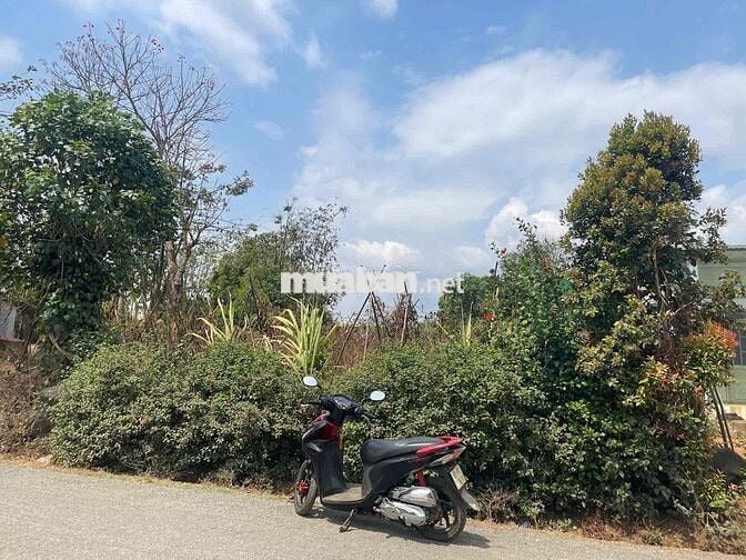 Đất hẻm Nguyễn Văn Nghi, sau lưng trường học