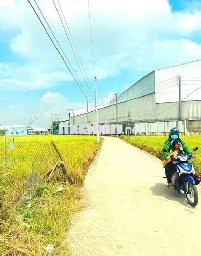 Hàng ngộp, 570tr sở hữu 125m2 đất thổ cư đường Nguyễn Văn Thọ