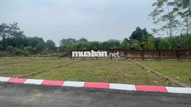 đất nền 100m2 khu trại hồ Cổ đông hoà lạc sẵn sổ, full thổ cư