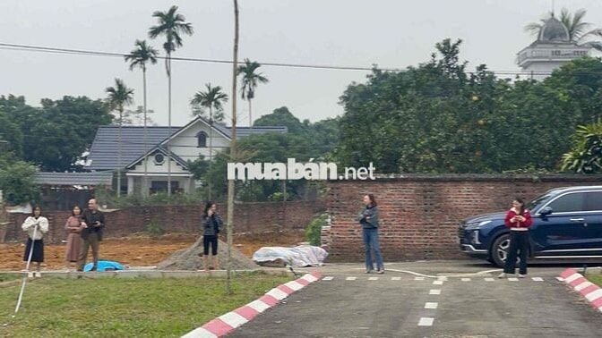 đất nền 100m2 khu trại hồ Cổ đông hoà lạc sẵn sổ, full thổ cư