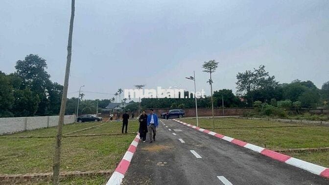 đất nền 100m2 khu trại hồ Cổ đông hoà lạc sẵn sổ, full thổ cư