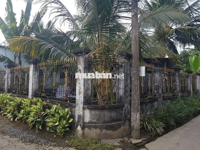 Bán đất đẹp kèm nhà Ql50, thị trấn vĩnh bình