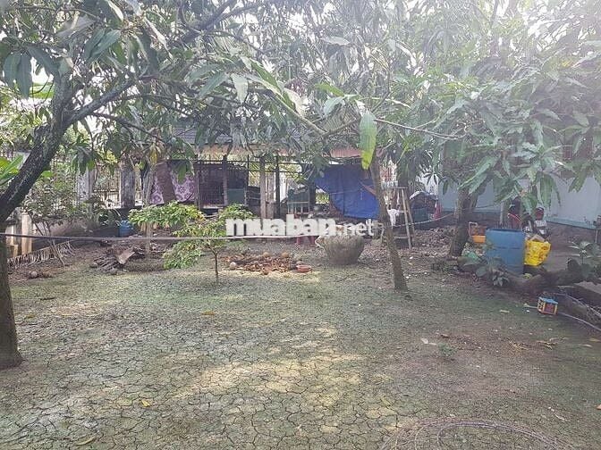 Bán đất đẹp kèm nhà Ql50, thị trấn vĩnh bình