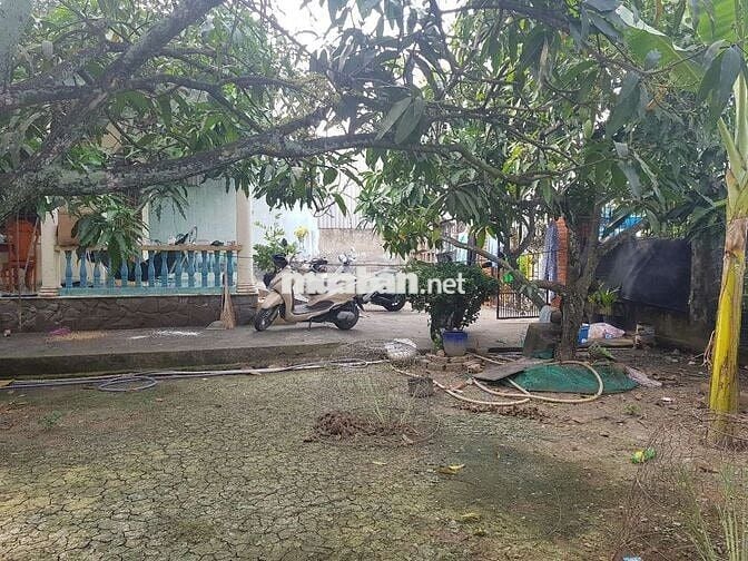 Bán đất đẹp kèm nhà Ql50, thị trấn vĩnh bình