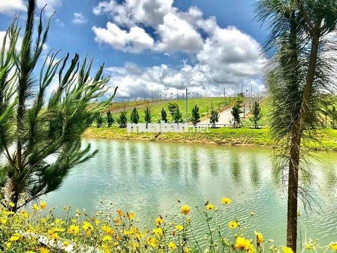 ĐẤT ODT P2,BẢO LỘC SỔ HỒNG RIÊNG TRUNG TÂM XÃ VÒNG XOAY CAO TỐC