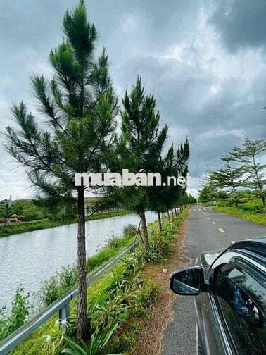 ĐẤT ODT P2,BẢO LỘC SỔ HỒNG RIÊNG TRUNG TÂM XÃ VÒNG XOAY CAO TỐC