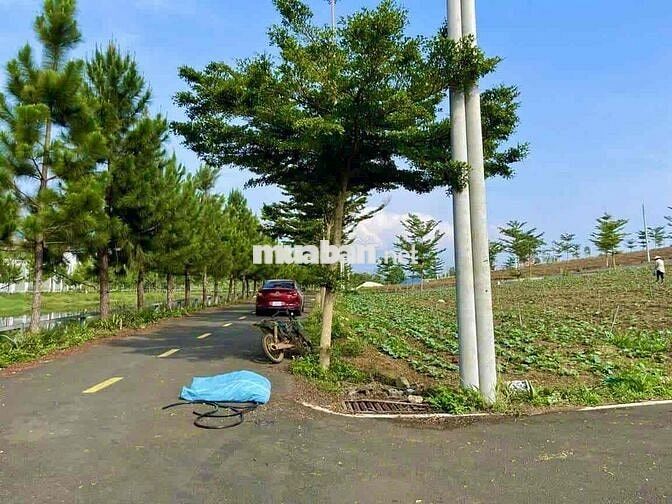 ĐẤT ODT P2,BẢO LỘC SỔ HỒNG RIÊNG TRUNG TÂM XÃ VÒNG XOAY CAO TỐC