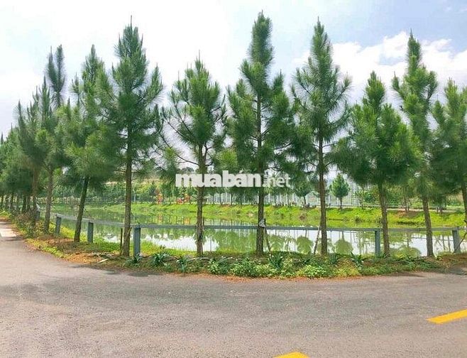 ĐẤT ODT P2,BẢO LỘC SỔ HỒNG RIÊNG TRUNG TÂM XÃ VÒNG XOAY CAO TỐC