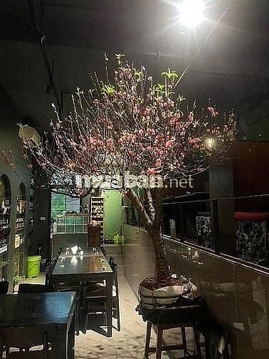 TUYỂN NHÂN VIÊN PHỤC VỤ NỮ CA TỐI