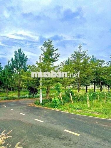 ĐẤT ODT P2,BẢO LỘC SỔ HỒNG RIÊNG TRUNG TÂM XÃ VÒNG XOAY CAO TỐC