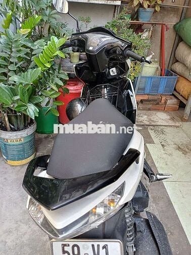 Honda Air Blade 2013 Trắng Xám Đen