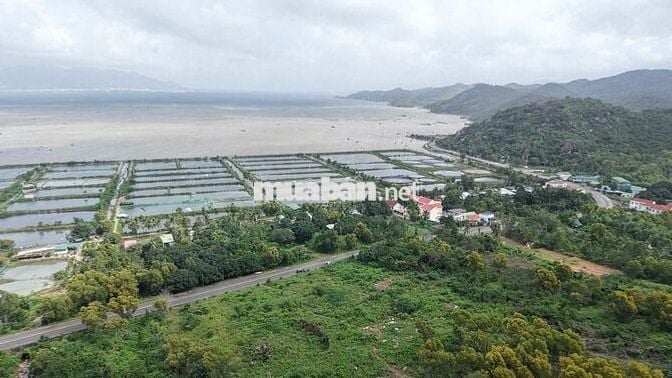 ❤️‍🔥CHUYỂN NHƯỢNG NỀN ĐẤT BIỂN ĐT 702 - ĐƯỜNG VEN BIỂN - GIÁ ĐẦU TƯ🥰