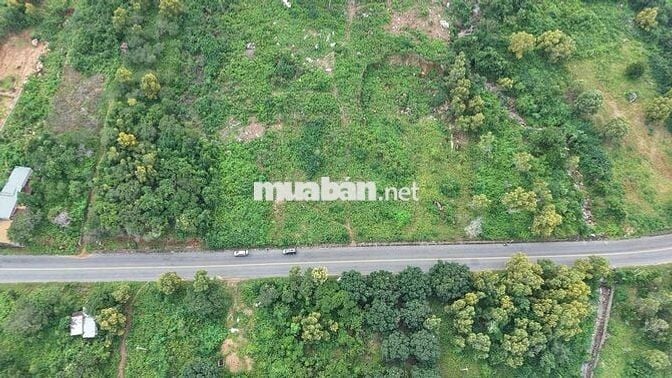 ❤️‍🔥CHUYỂN NHƯỢNG NỀN ĐẤT BIỂN ĐT 702 - ĐƯỜNG VEN BIỂN - GIÁ ĐẦU TƯ🥰