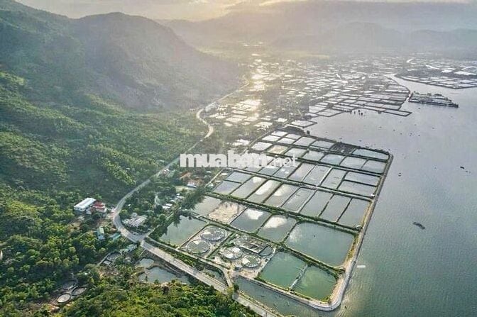 ❤️‍🔥CHUYỂN NHƯỢNG NỀN ĐẤT BIỂN ĐT 702 - ĐƯỜNG VEN BIỂN - GIÁ ĐẦU TƯ🥰