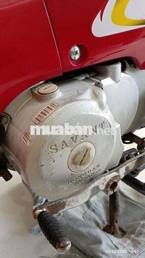 Wave 50 ko cần bằng lái