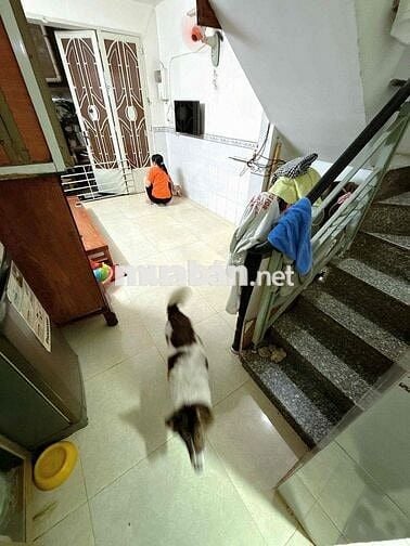 Nhà bán hẻm 184 Âu Duong Lân phường Chánh Hưng Q8 Củ