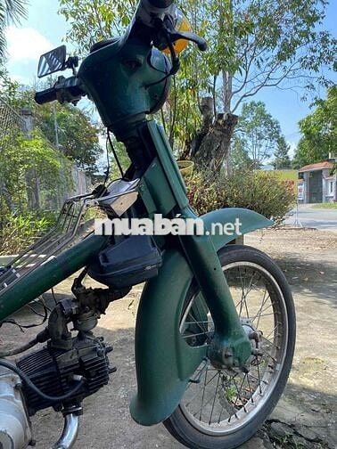 Honda Cub 50 Xanh lá