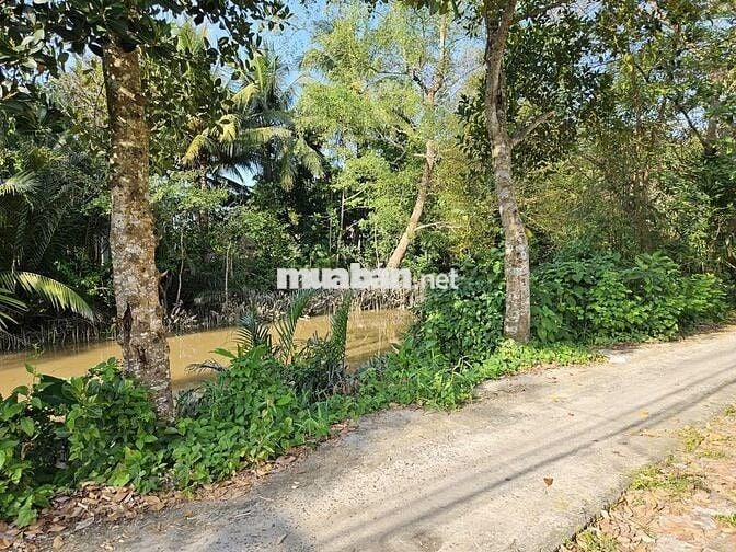 BÁN NHÀ ĐẤT VIEW SÔNG 250,4M² GẦN QL61C - ĐẾN TT CẦN THƠ CHỈ 5KM!!