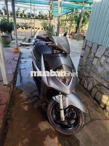 Honda Dylan 2005 Xanh xám