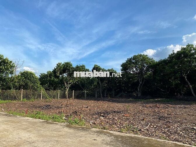 Đất nền 102m2 Bình Lộc, Đồng Nai nai full thổ cư gần chợ gần trường