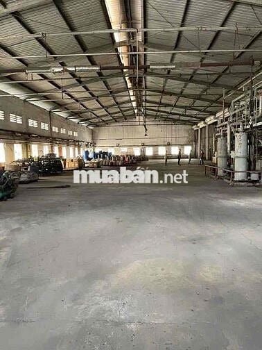 Kho Xưởng Ngay KCN Tân Bình - DT 3000m2 - Đường Cont - PCCC Vách Tường