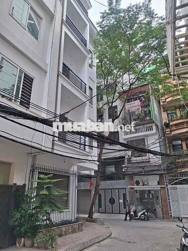 BIỆT THỰ 5 TẦNG BA ĐÌNH LÔGOC 72m MT8 GIA 34 Ty