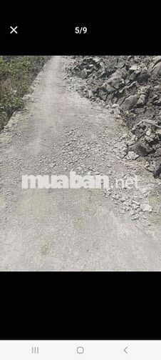 Bán vuông Năm Căn (xã Đất Mới)