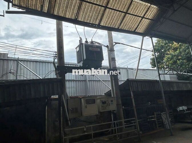 Xưởng 1600m Trạm Điện 250kva PCCC Tự Động