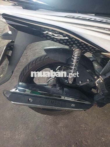 NOVO 5 FI PHUN XĂNG ĐIỆN TỬ  máy êm mạnh