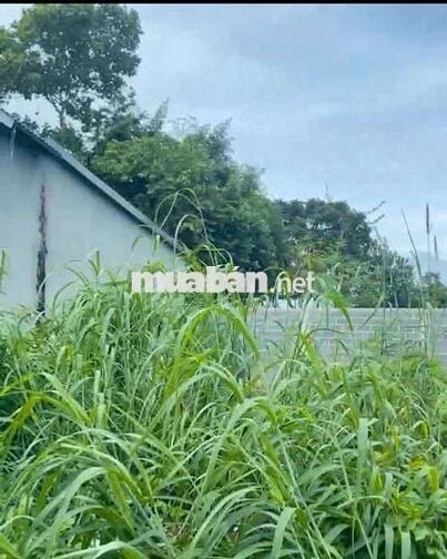 CHÍNH CHỦ BÁN LÔ ĐẤT 170m² TẠI LONG PHƯỚC – TP BÀ RỊA