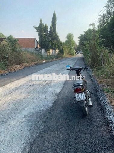 cần bán lô đất thổ cư đường nhựa cách tỉnh lộ 8 chỉ 100m.Dt 10x40m