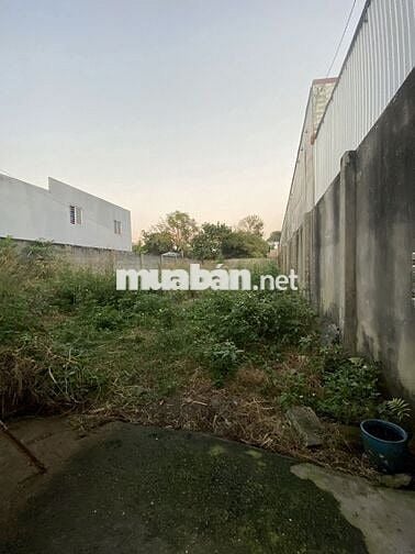 260M2 THỔ CƯ MT ĐƯỜNG LỚN - VỊ TRÍ ĐẸP - PHÚ HÒA ĐÔNG - CỦ CHI