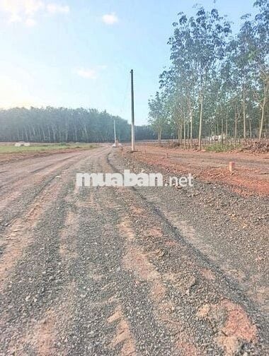 Đất giá rẻ ngay đường xuyên tâm 32m