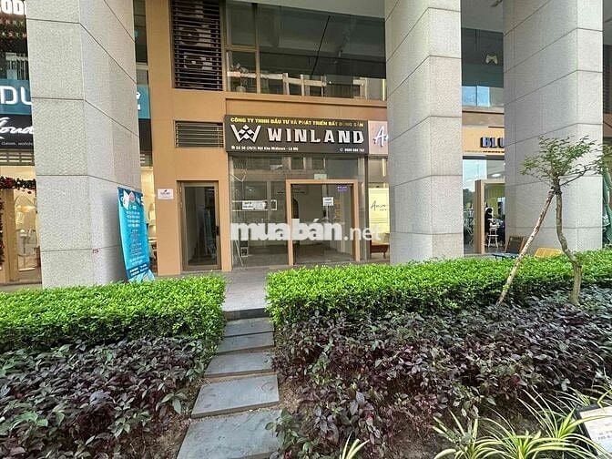 🔥 CHÍNH CHỦ CHO THUÊ SHOPHOUSE M6 – VỊ TRÍ ĐẸP, GIÁ TỐT! 🔥