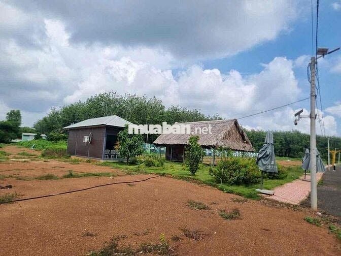 Chủ Ngộp Bán Lỗ Lô Đất 500m2 , 200m2 thổ cư 250Tr