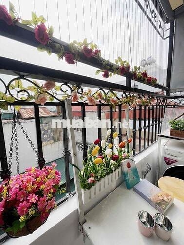 Bán CCMN Đẹp Xịn- Sổ Hồng Từng Căn, Chính Kinh Nguyễn Trãi cạnh Royal