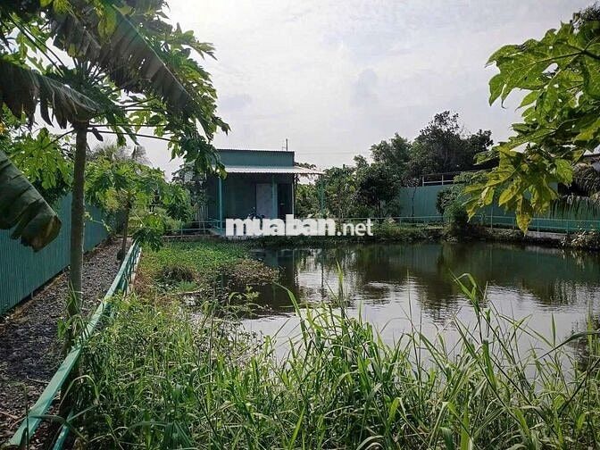 Chủ bán cả đất cả nhà   có thổ cư