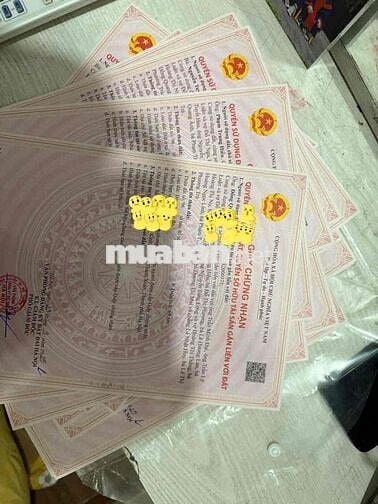 Bán CCMN Đẹp Xịn- Sổ Hồng Từng Căn, Chính Kinh Nguyễn Trãi cạnh Royal