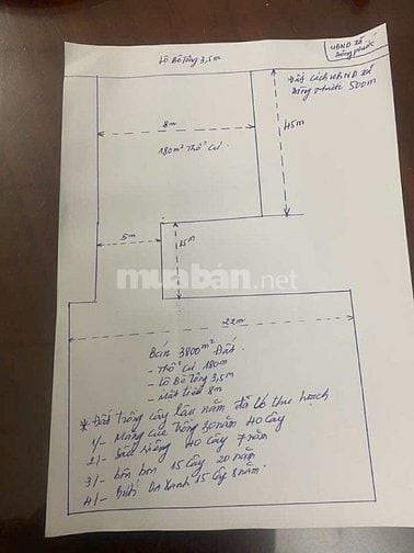 Bán đất 3.800 m2 có cây ăn trái view sông gần chợ Cái Chanh