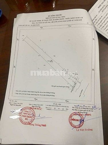 Bán đất 3.800 m2 có cây ăn trái view sông gần chợ Cái Chanh