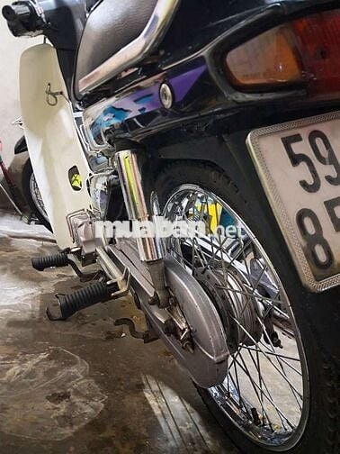 Dream lùn Quận 12