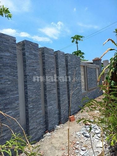 Bán Nhà Cấp 4 Láng Dài – 1000m² (200m² Thổ Cư) – Đường Nhựa Tim Vàng –