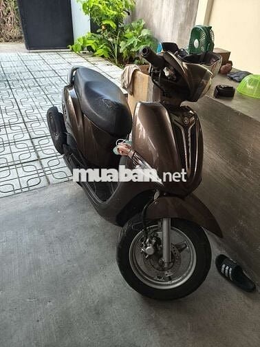 Nozza 2015 mình không