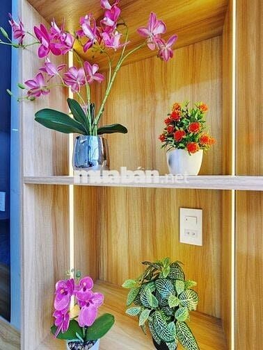 🏪💥QUẬN 6 - NHÀ ĐẸP Ở NGAY - CHỈ HƠN 3 TỶ.