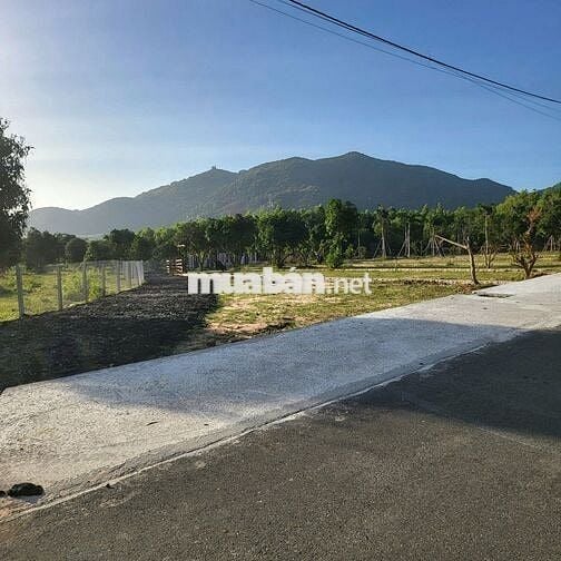 Bán đất ven biển Phước Hải. 324m² hai mặt tiền nhựa. 22m mặt tiền