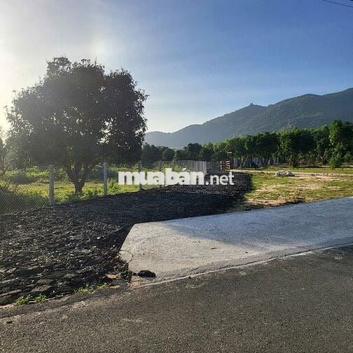 Bán đất ven biển Phước Hải. 324m² hai mặt tiền nhựa. 22m mặt tiền