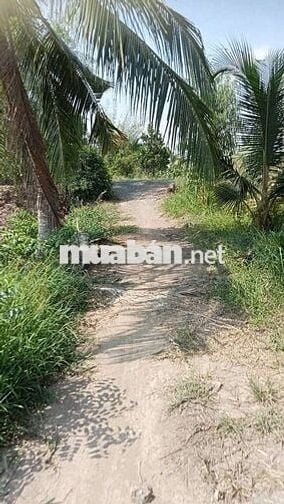 380tr/1000mv ĐẤT VƯỜN ,ĐƯỜNG ÔTÔ TỚI ĐẤT